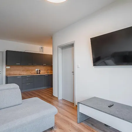 Apartmany Vista Klinovec Loucna pod Klinovcem Room photo
